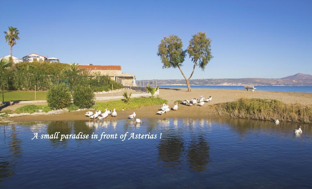 Asterias Studios & Apartments Kalyves Exteriér fotografie